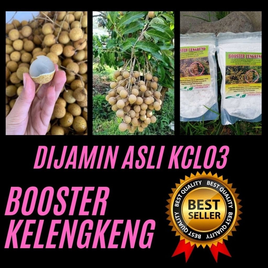 Booster Kelengkeng Buat Kelengkeng, Booster Kelengkeng Cair, Booster Kelengkeng Itoh