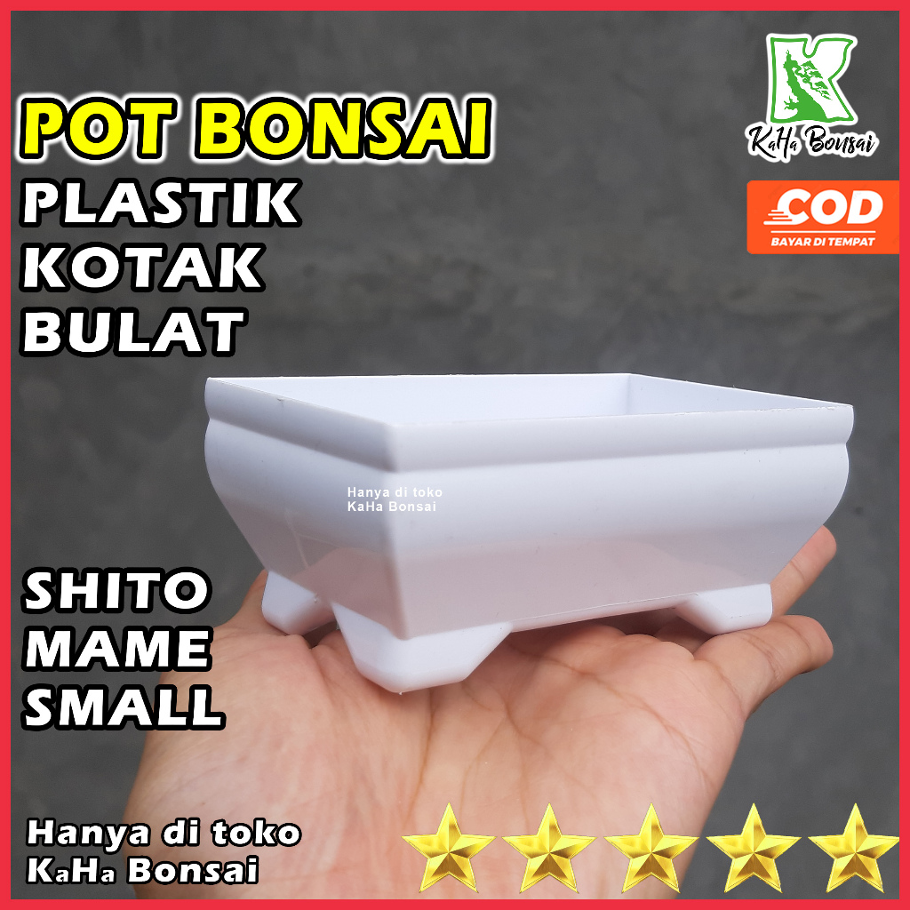 Pot Bonsai Kotak Kecil Pot Kotak 10 cm Bonsai Pot Plastik Kotak Kecil Bonsai Pot Bonsai Sitho Pot Bo
