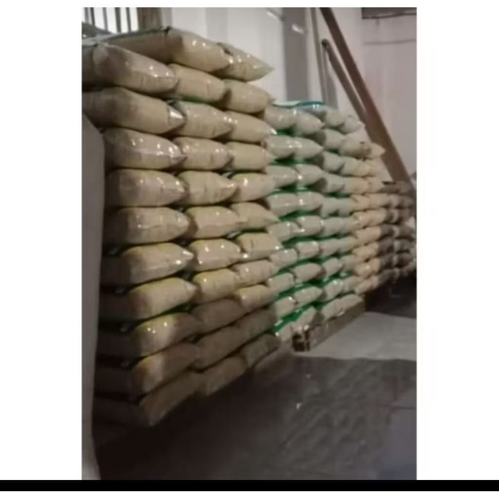 bibit padi unggul MR308 5KG