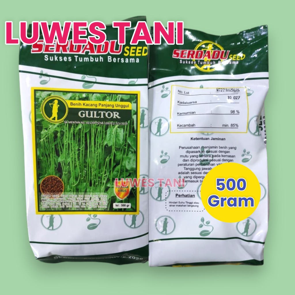 Benih kacang panjang Gultor 500 gram (Besar) benih kacang panjang unggul