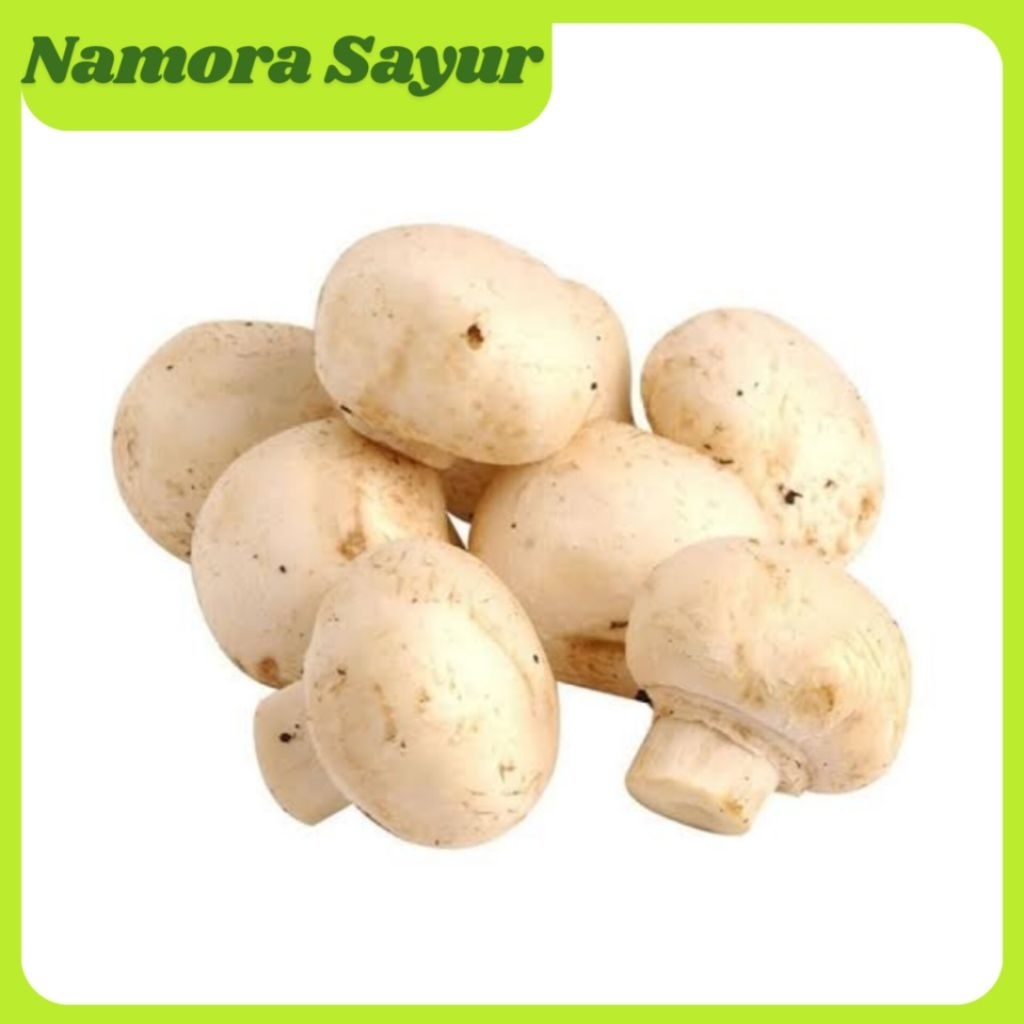 Jamur Champignon 1 Pack | Jamur Kancing Segar
