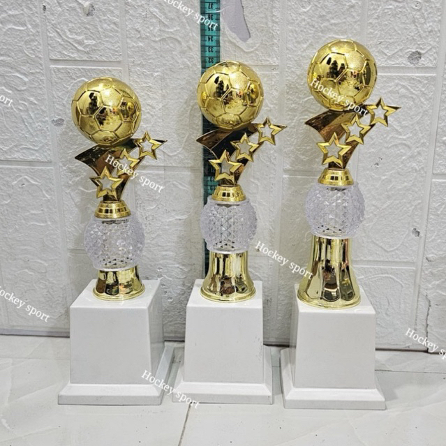 Trophy Bola Voli Piala Voli Import Teophy Volley 1 SET / 1 PIALA ( Kristal Bulat / Duri )