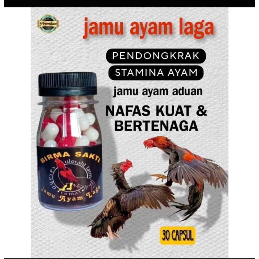 JAMU AYAM ADUAN BIRMA SAKTI NAFAS TERATUR PUKULAN KENCANG ISI 30 KAPSUL EXTRA JP MASTER LAGA JAMU AY