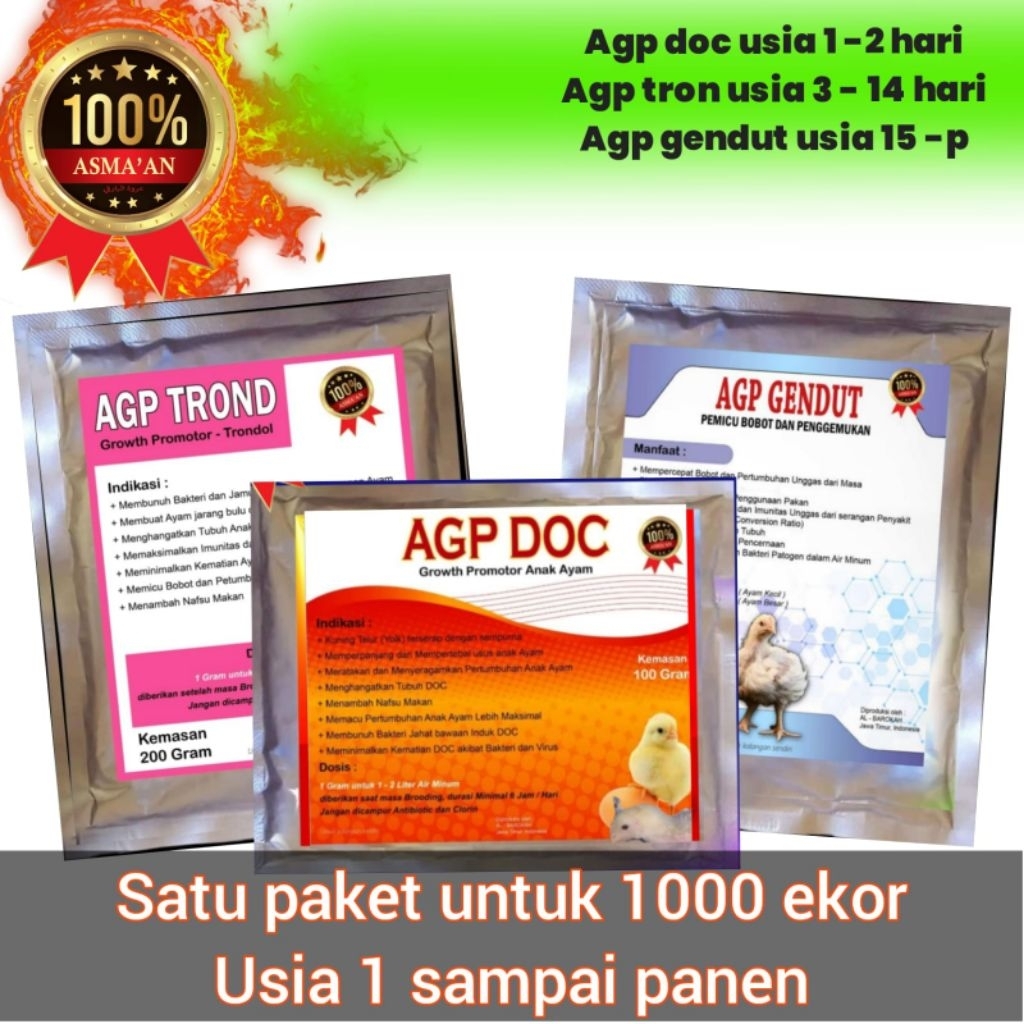 Agp doc #agp trond #agp gendut