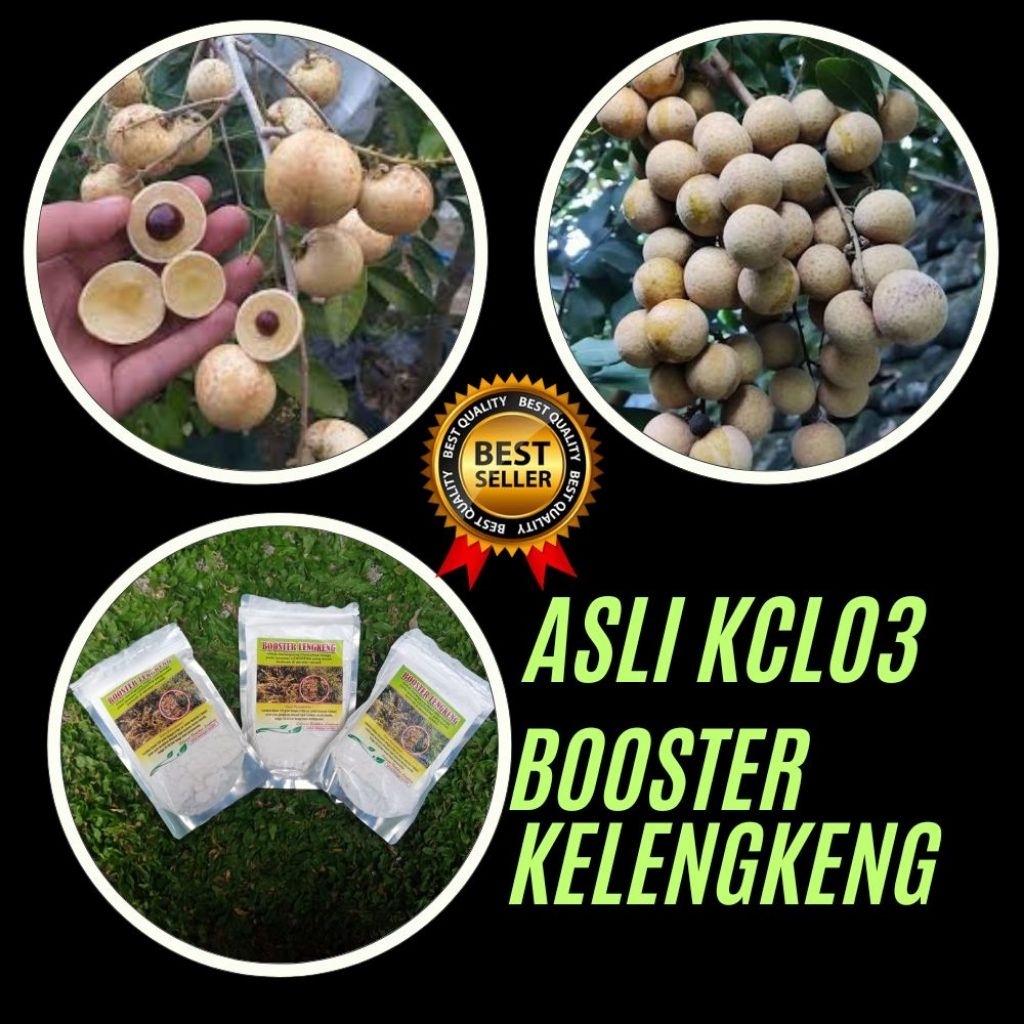 Boster Kelengkeng Murni 1 Kg, Boster Kelengkeng Kcl, Boster Kelengkeng Kclo3 Terdekat
