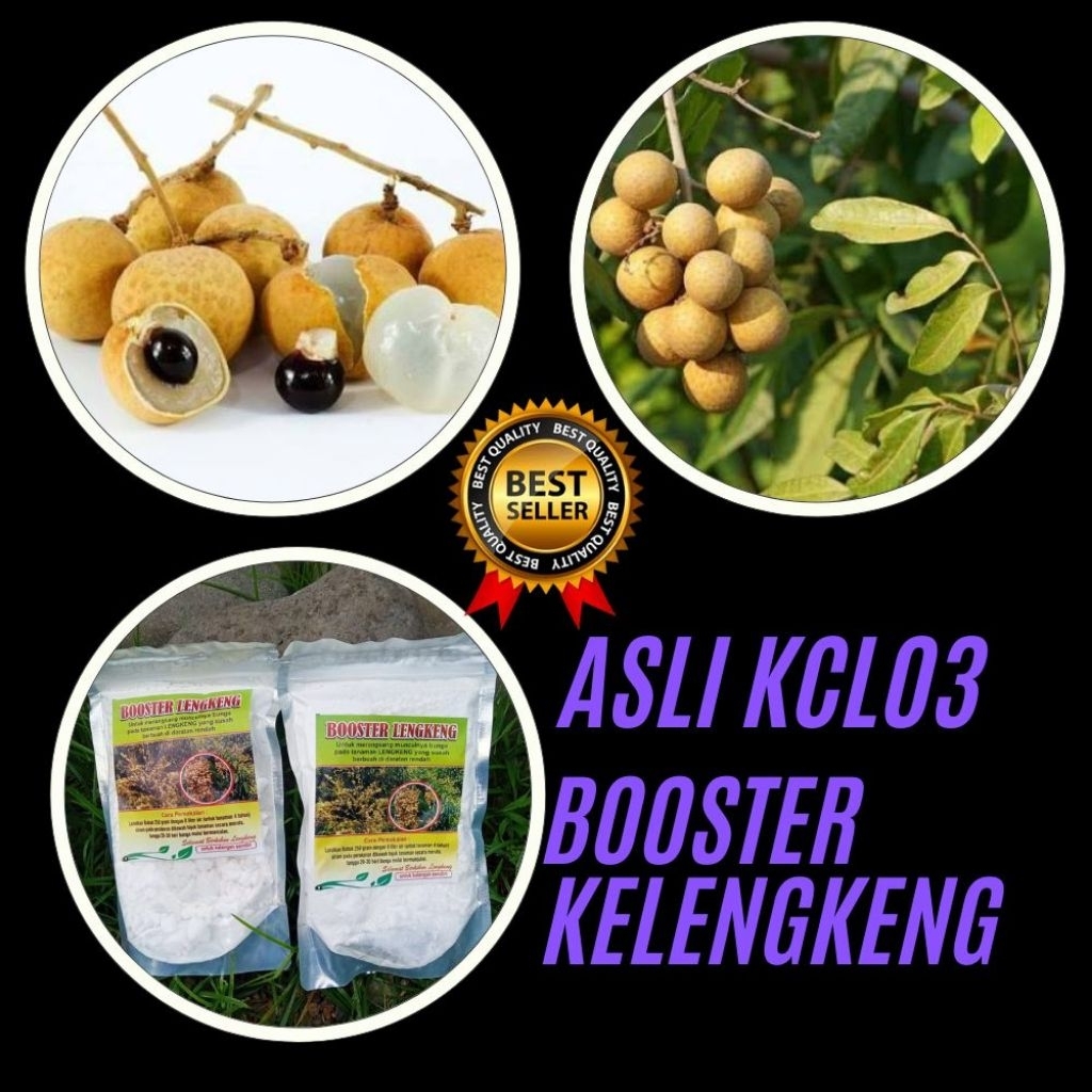 Boster Kelengkeng Kclo3 Terdekat, Boster Kelengkeng Kristal, Boster Kelengkeng Murni