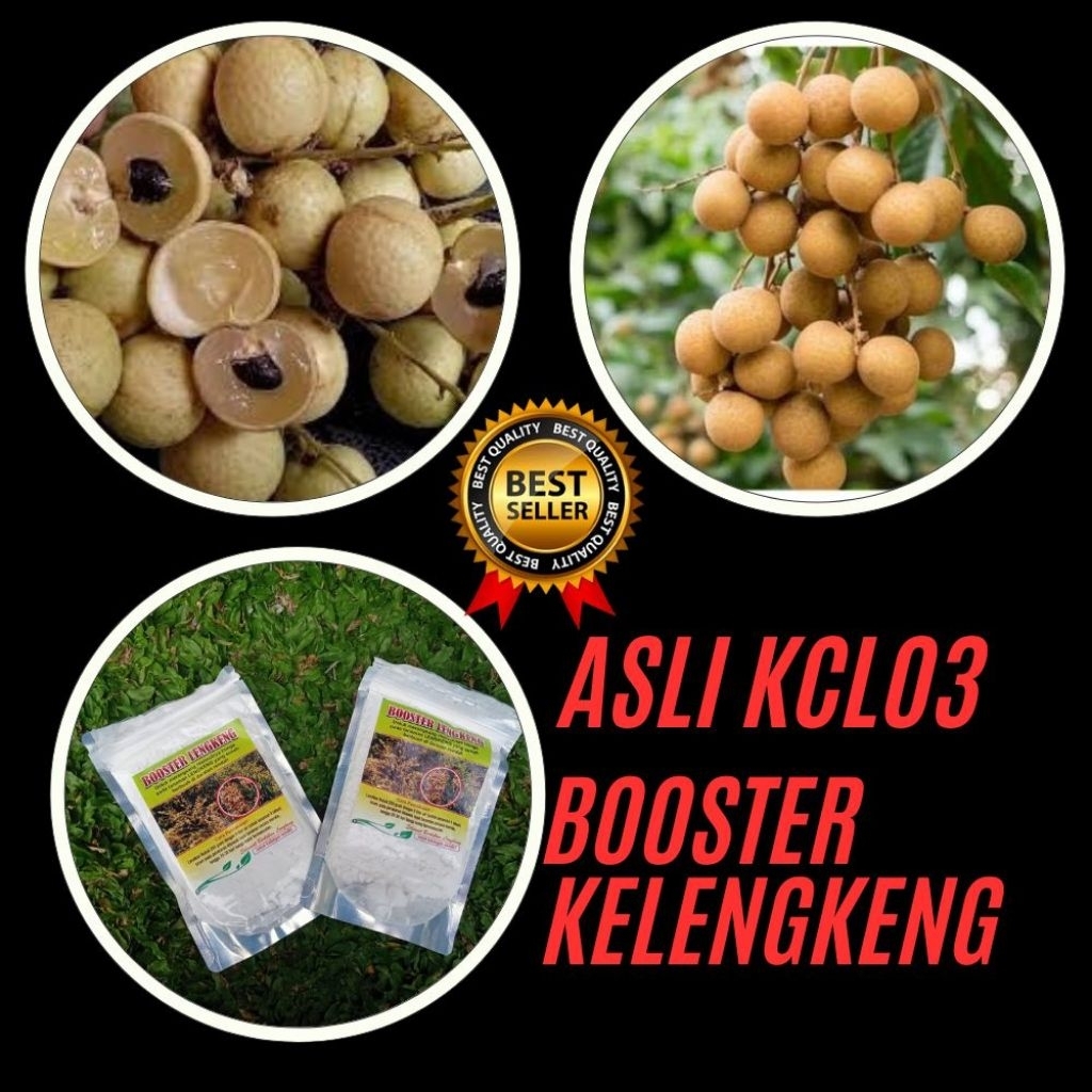 Boster Kelengkeng New Kristal, Boster Kelengkeng Nusantara, Boster Kelengkeng