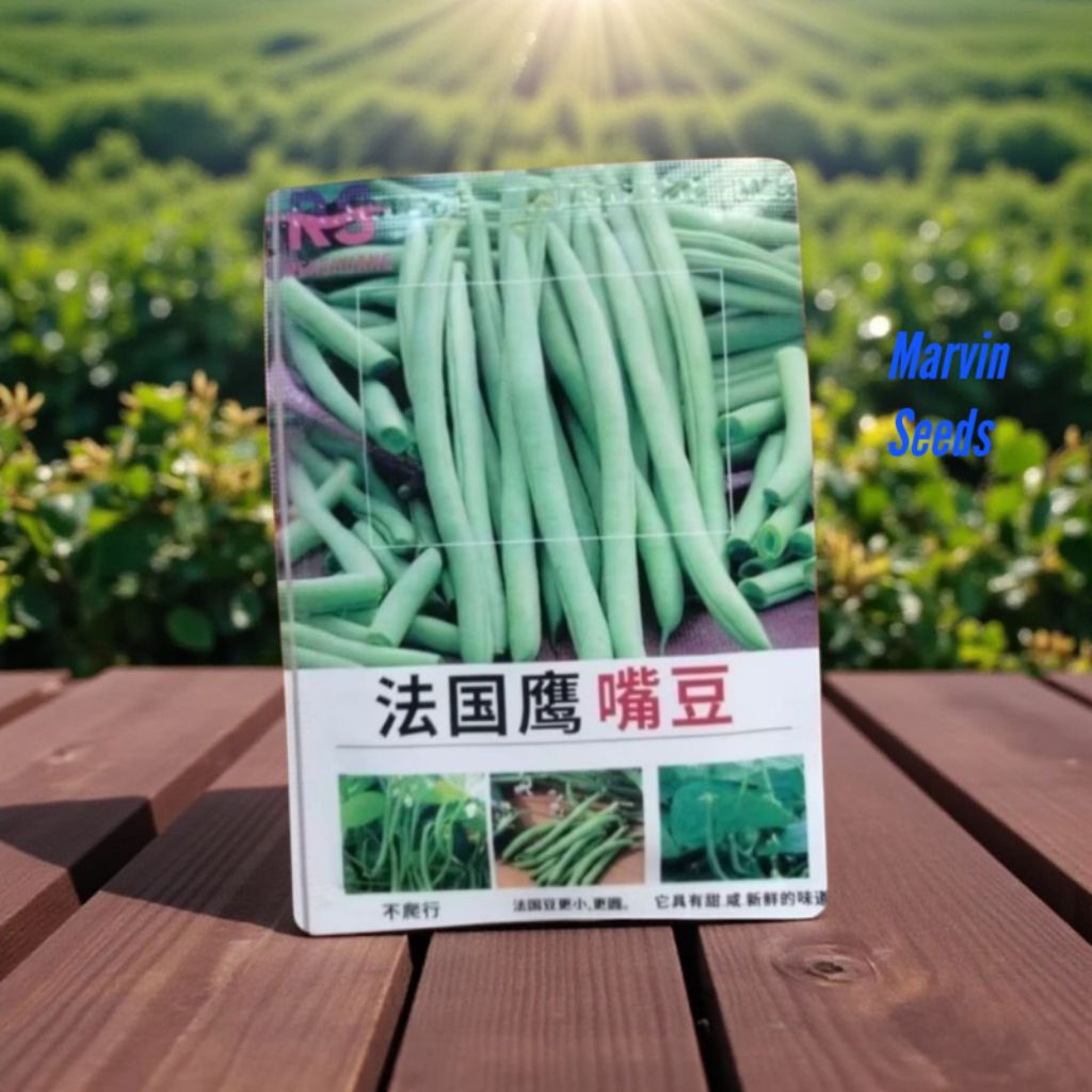 Marvin Seeds [ Kemasan Premium-Benih Buncis Tegak|Buncis Baby Beans