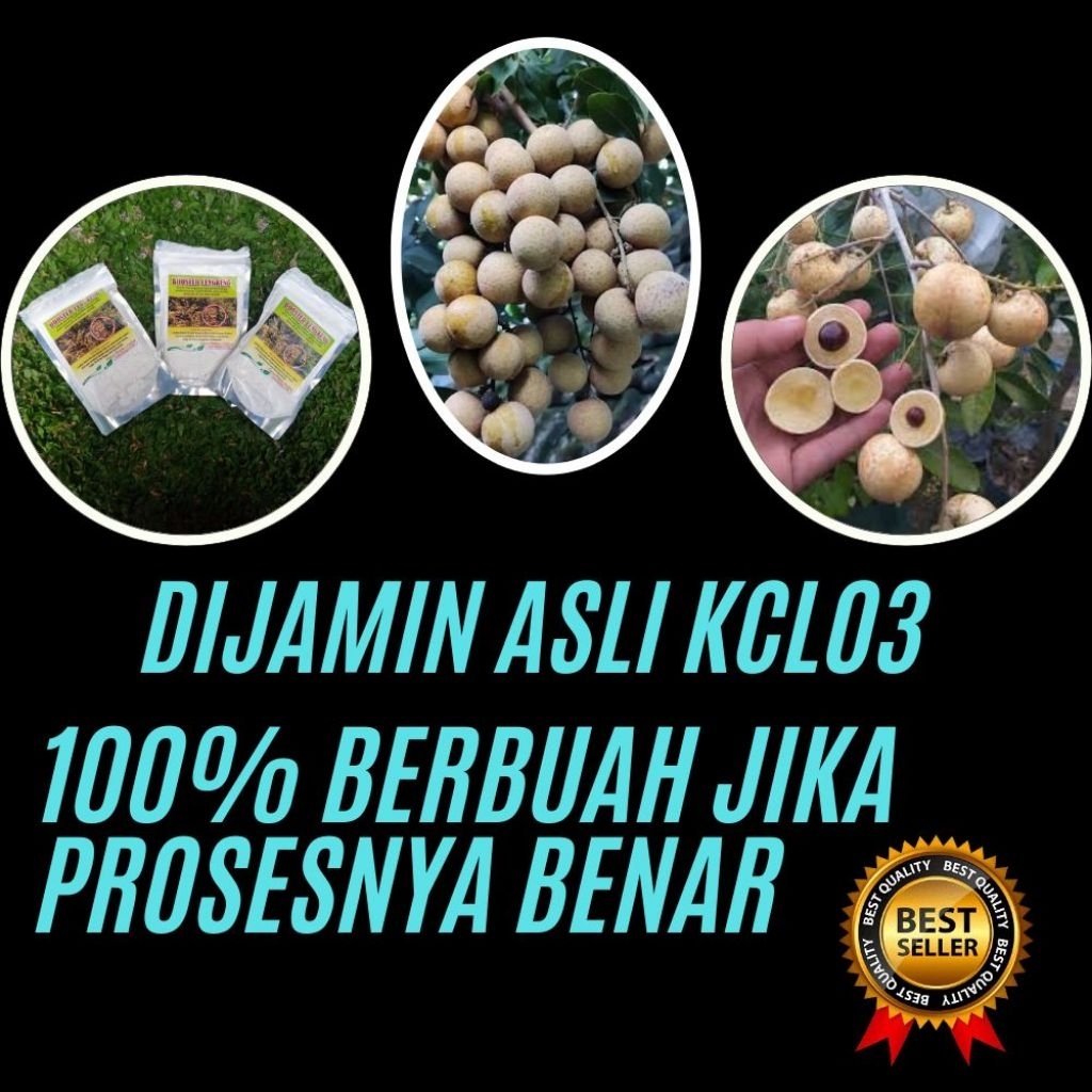 Booster Kelengkeng 1Kg