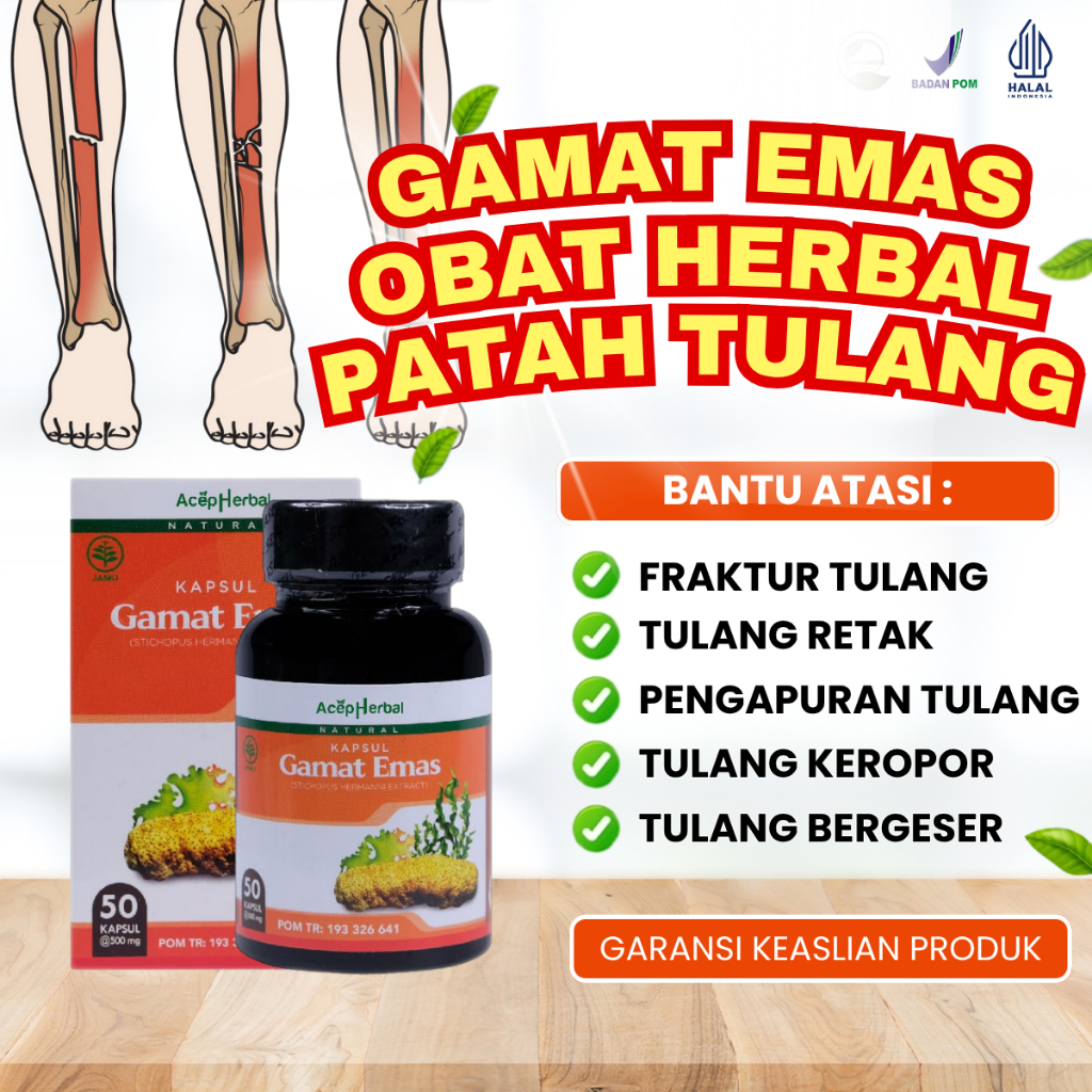 Obat Patah Tulang Patah Kaki Tangan Bahu Paha Obat Fraktur Tulang, Obat Tulang Retak, Obat Pengapura