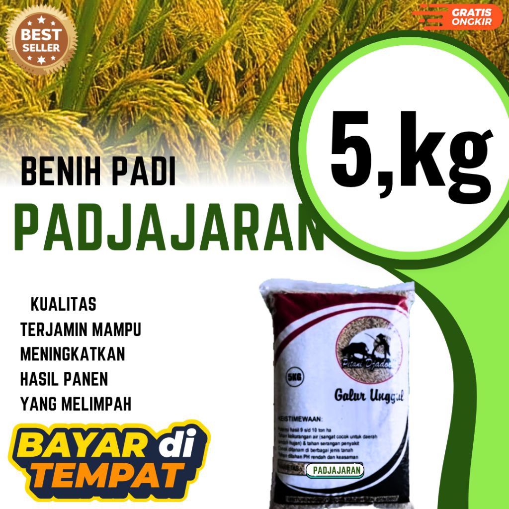 BENIH PADI PADJAJARAN UNGGUL KEMASAN 5 kg BENIH PADI SUPER GENJAH