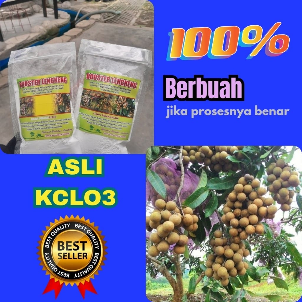 Boster Kelengkeng Murni, Boster Kelengkeng New Kristal, Boster Kelengkeng Nusantara