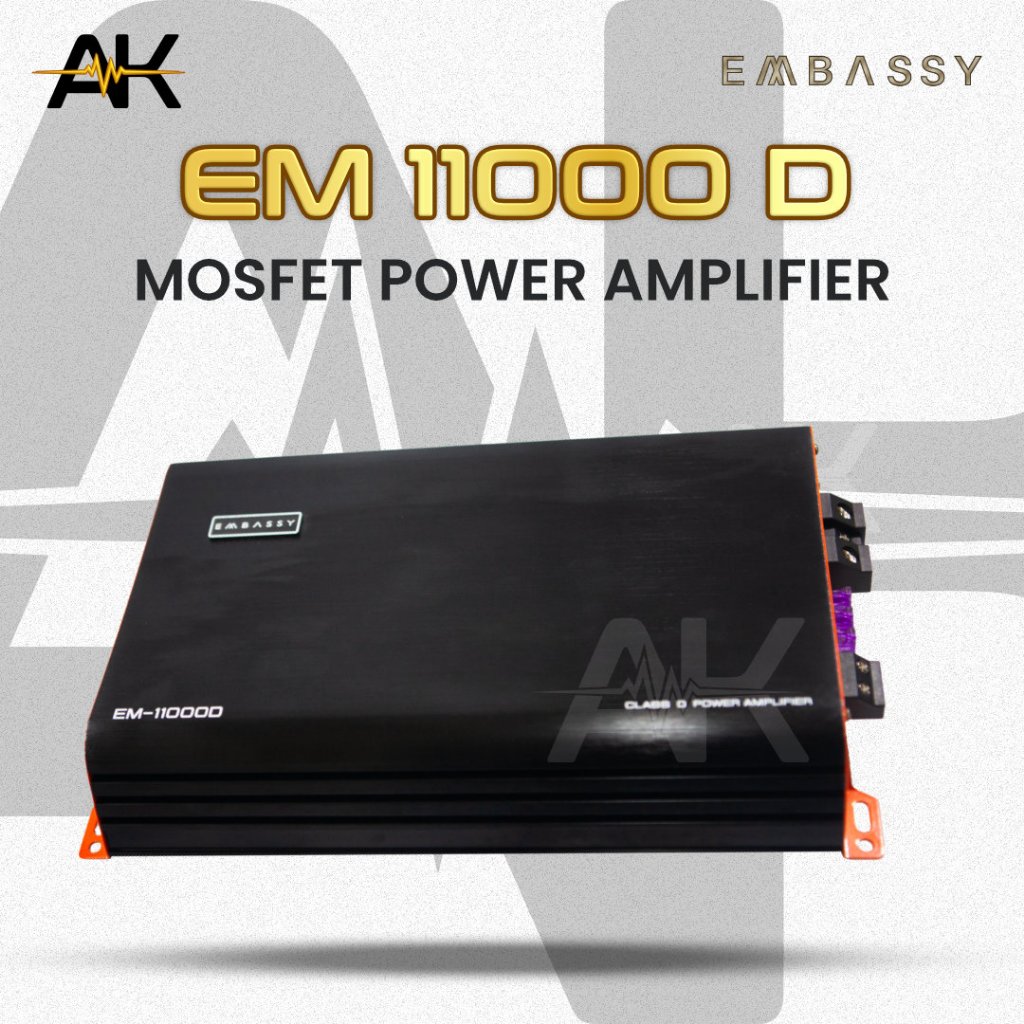 Embassy Power Amplifier Monoblok EM-11000D Class D