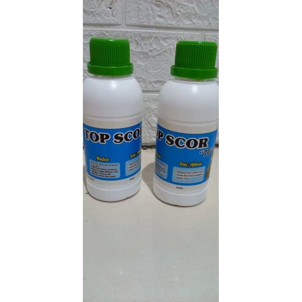 TOP SCORE pupuk perangsang buah pelebat buah untuk cabe, padi dan tanaman lain