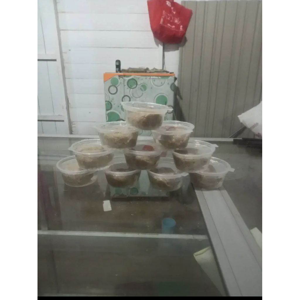 getah pulut burung anti badai super lengket siap pakai anti bau