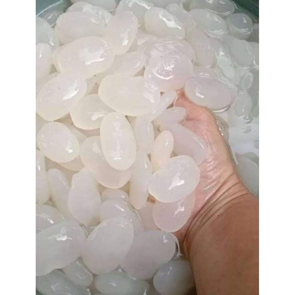 promo 300 gram kolang Kaling segar / Kolang kaling segar Kolang kaling super Kolang kaling medan bah