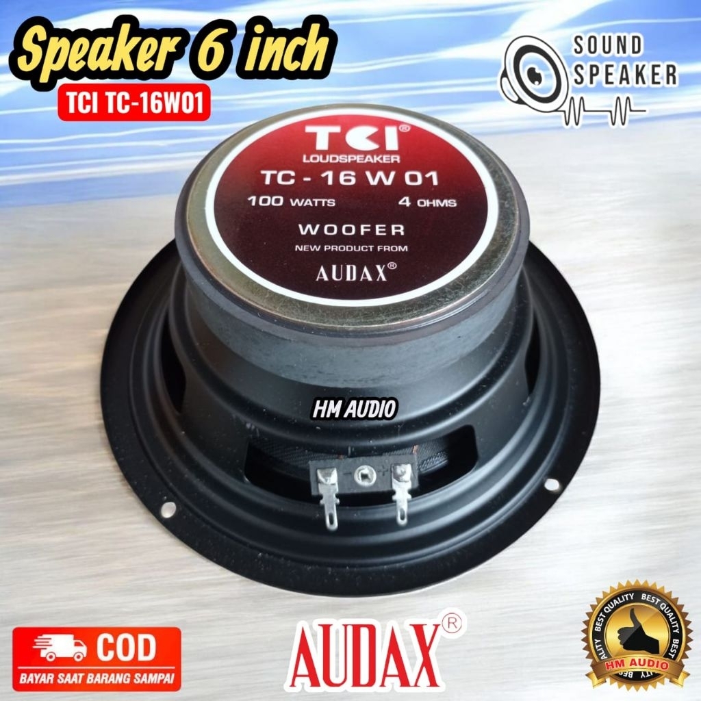 Speaker Audax 6 inch TC 16 W 21 dan TC 16W01 Original Audax