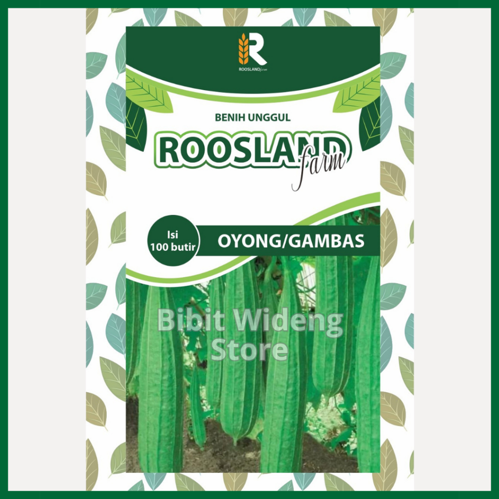 ( 100 BENIH ) SAYUR OYONG | GAMBAS | EMES PANJANG | GAMBAS OYONG