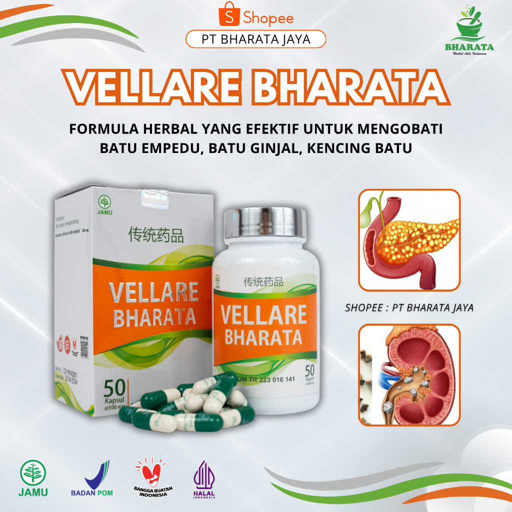 Obat Batu Empedu Peluruh Batu Ginjal VELLARE BHARATA Original Herbal Kencing Batu Prostat 50 Kapsul