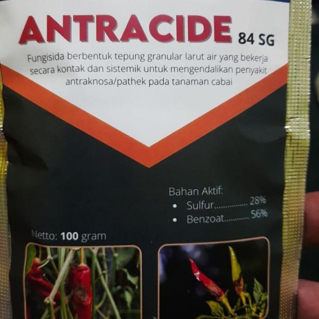 Fungisida Antracide 84 SG 100 gram