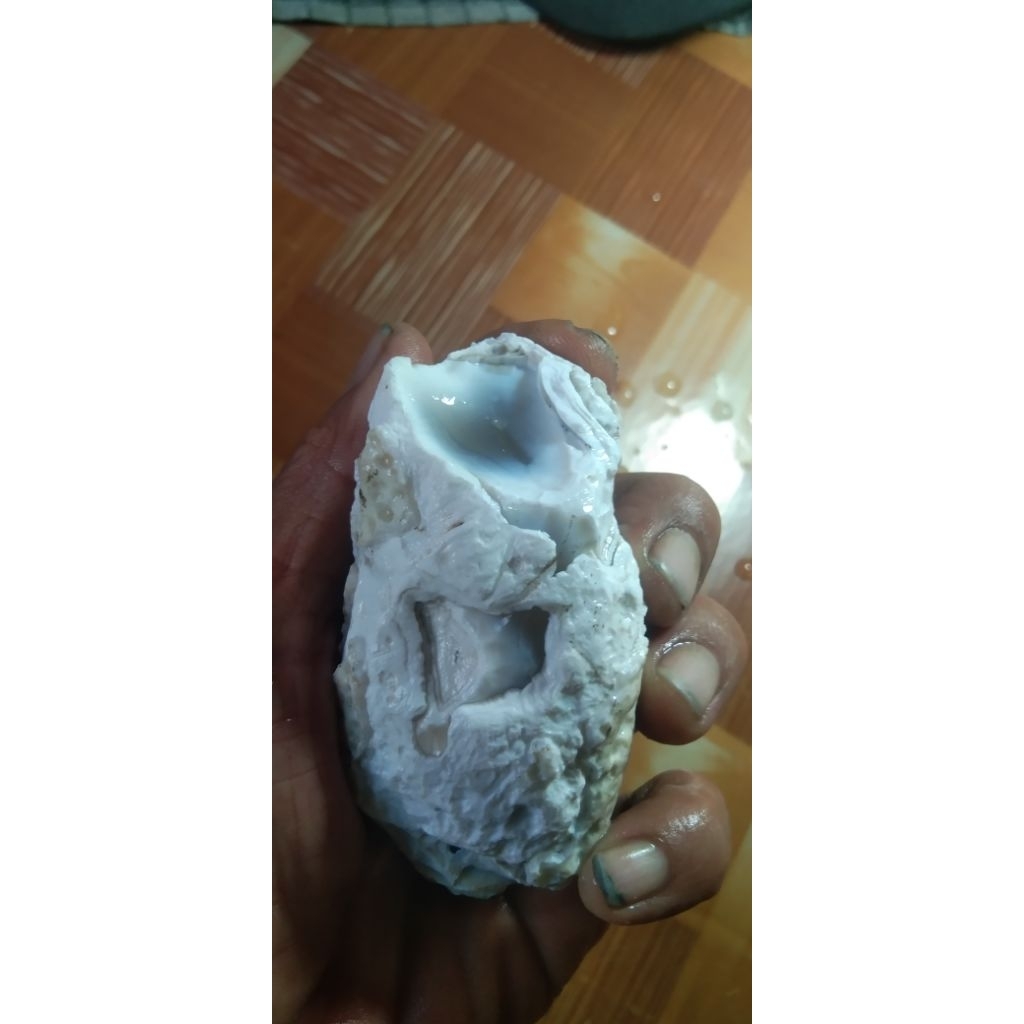 kecubung teh kalimantan