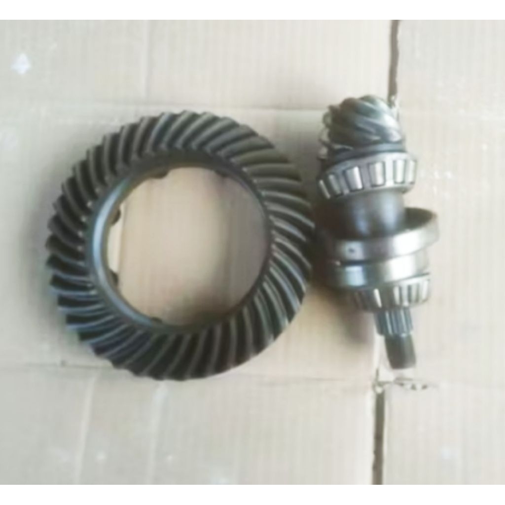 gigi final gardan zebra Espass mulus copotan