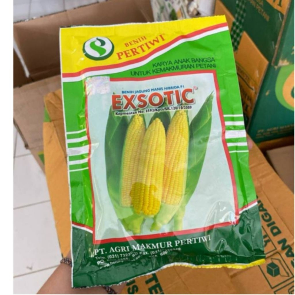 Benih jagung manis Pertiwi EXOTIC isi1750 butir