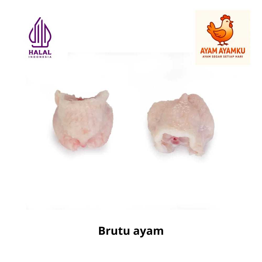 Brutu Ayam Segar 100gr | AYAM AYAMKU