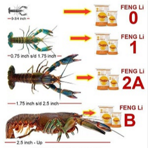 FENGI 0 1 2A 3L FENG LI Pakan tenggelam pelet udang lobster air tawar 1 KG