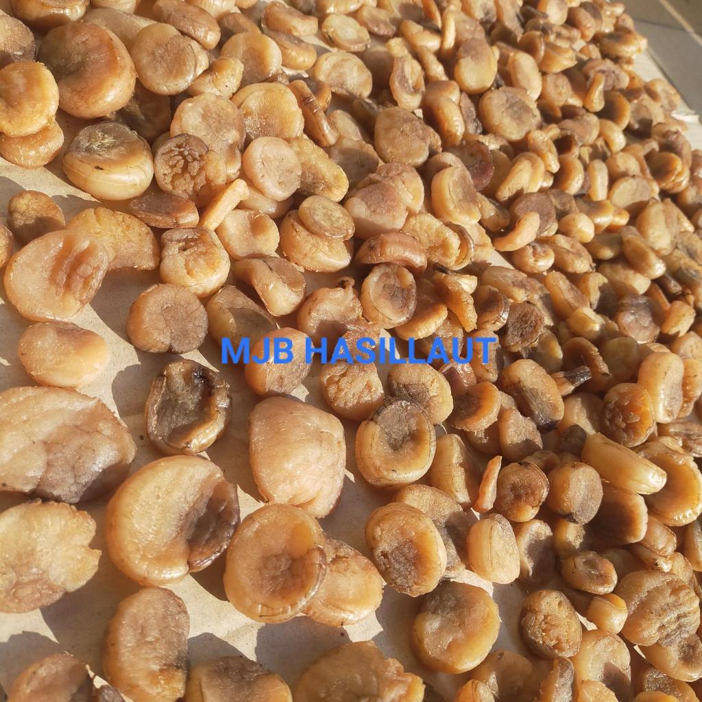 Scallop kering, Scallop Indonesia, Scallop original, Scallop, 50gram
