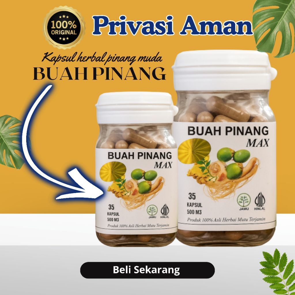 kapul herbal buah pinang muda max asli kapsul untuk pria dewasa