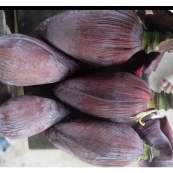 Jantung Pisang Batu Simbatu Segar | Sayuran ID Padang