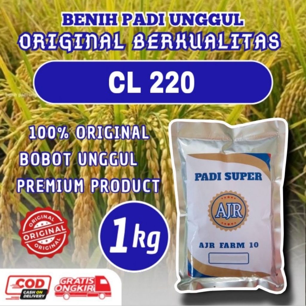 Benih padi unggul CL 220 kemasan 1 kg