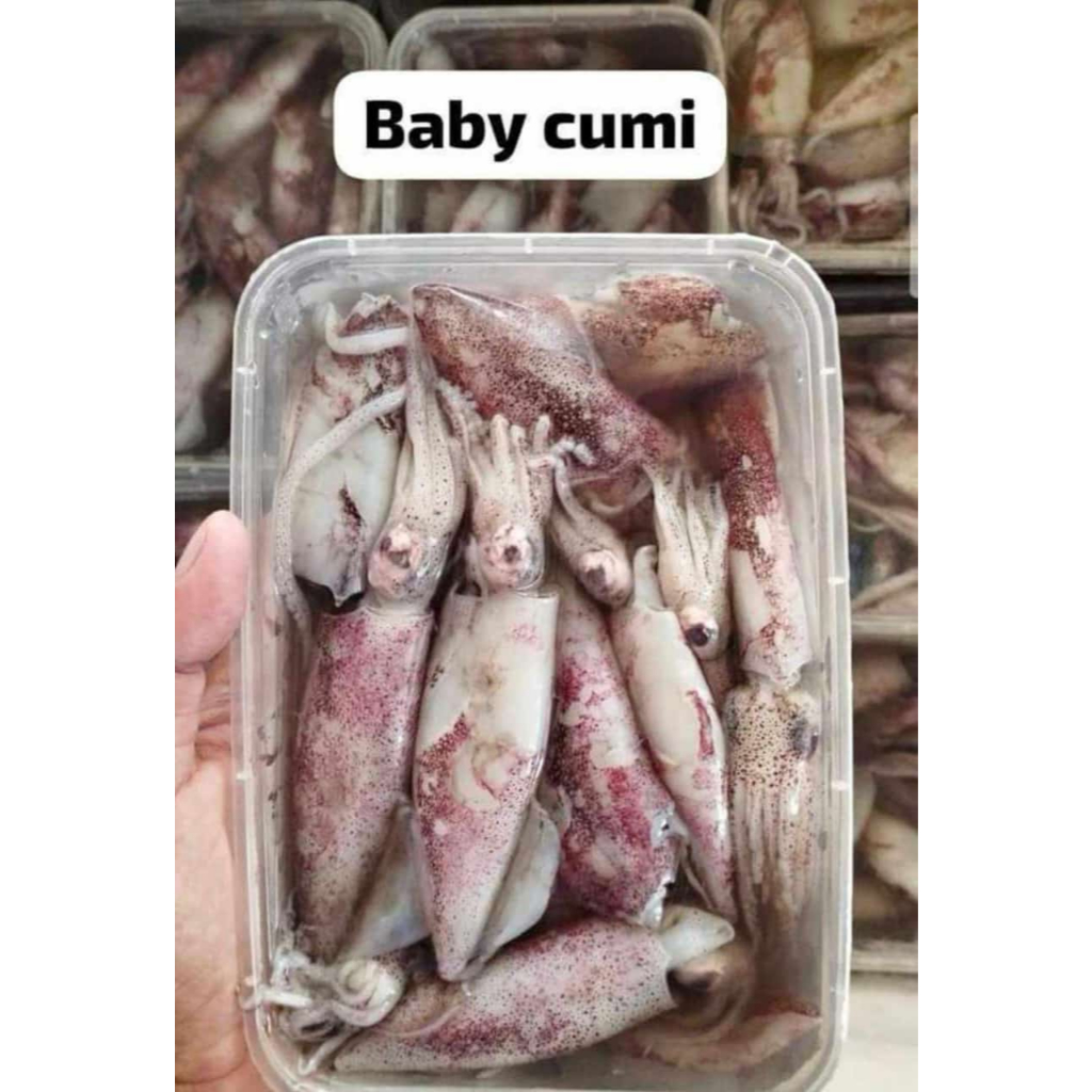 BABY CUMI HITAM CANTIK FROOZEN 500GR / BAYI CUMI TINTA HITAM SEGAR