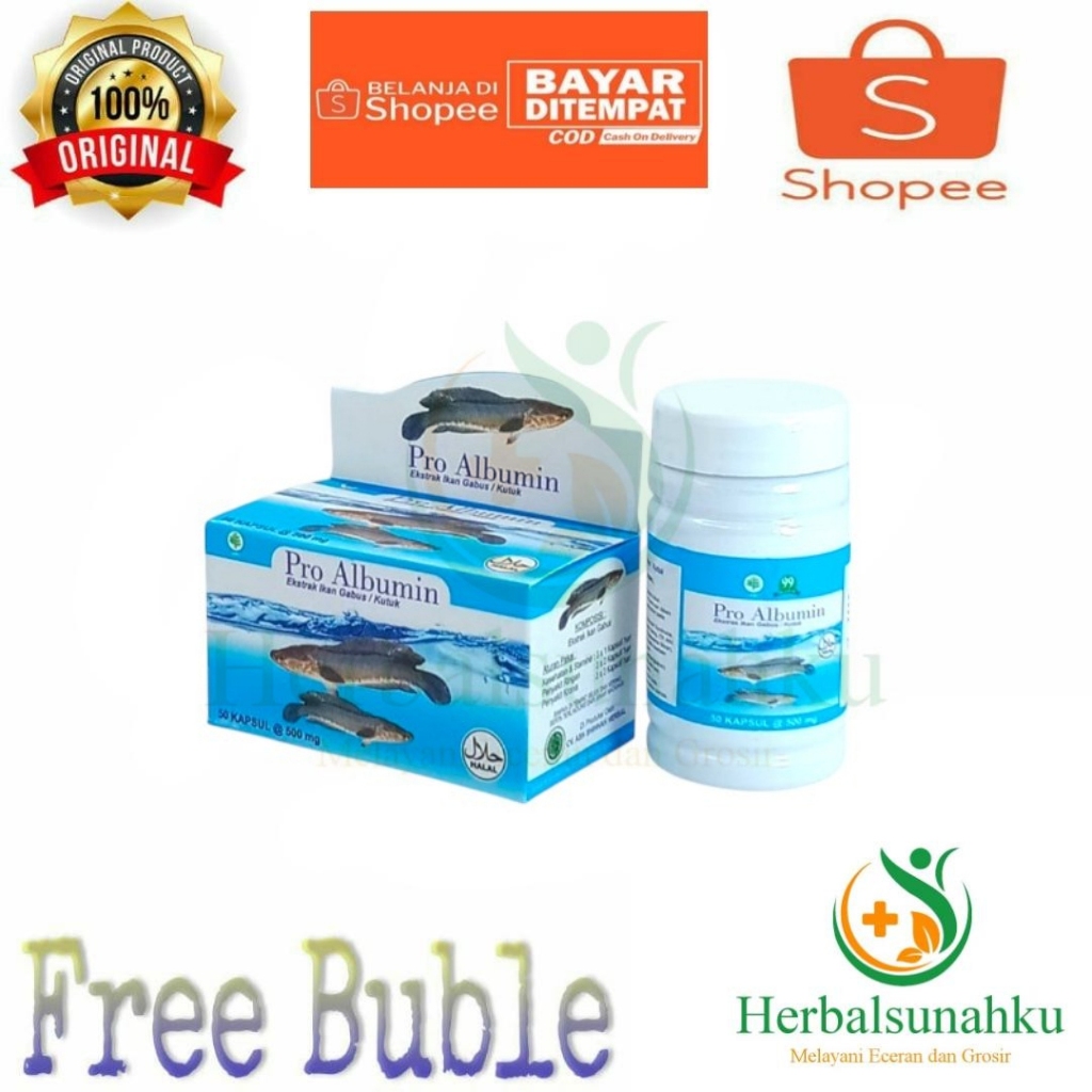 Pro Albumin Kapsul Ekstrak Ikan Gabus | SAH Albumin Ikan Gabus | Azzayan Albumin Ekstrak Ikan Gabus