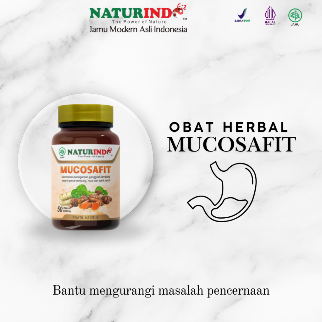 Mucosafit Obat Herbal Asam Lambung Alami