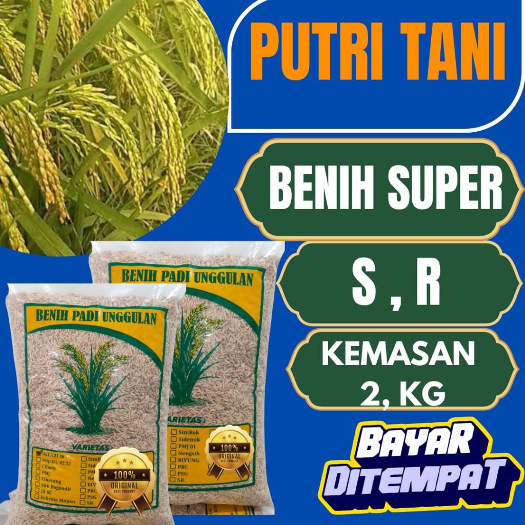 Benih padi SR . benih padi super sr kemasan 2kg
