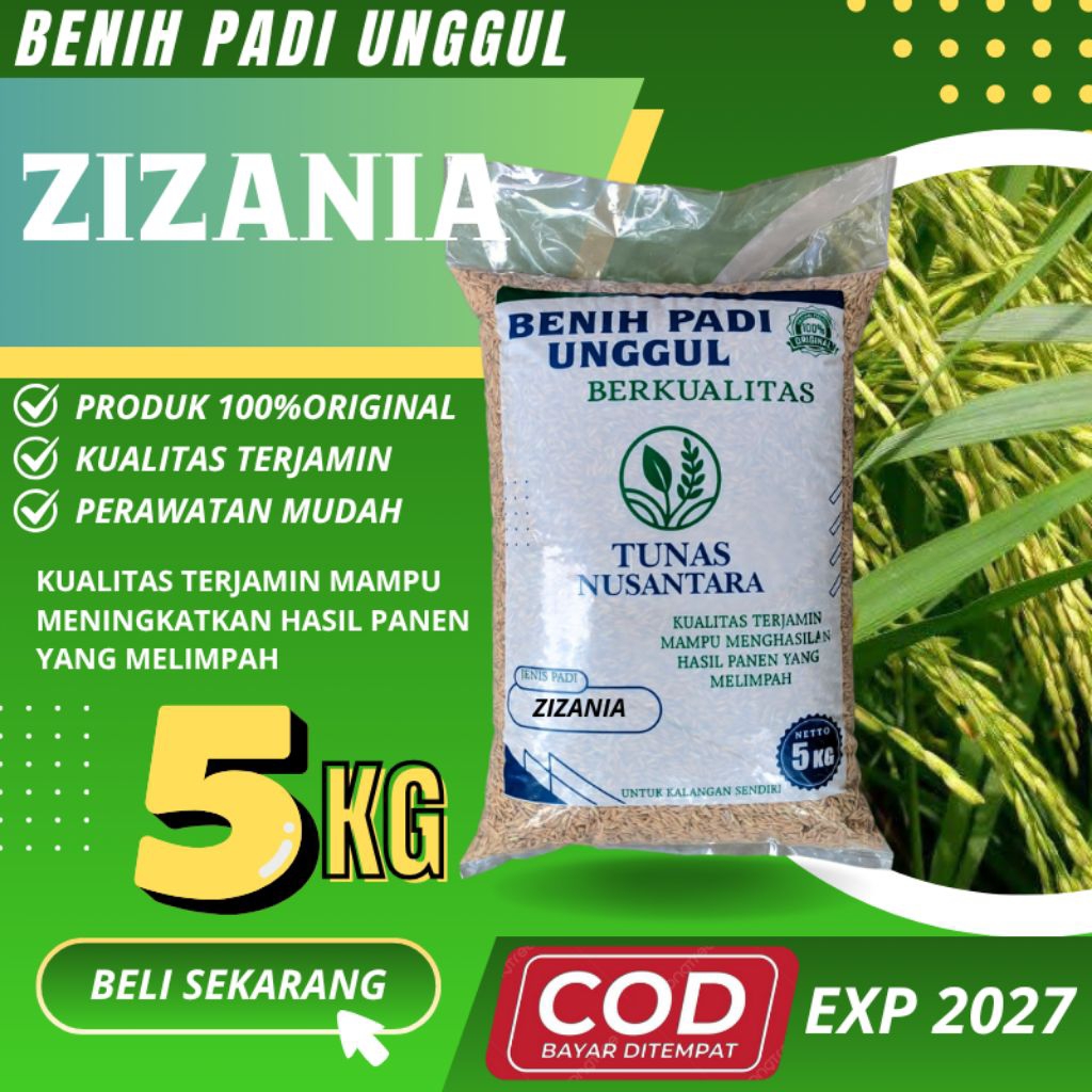 Benih padi unggu ZIZANIA kemasan 5kg original berkualitas
