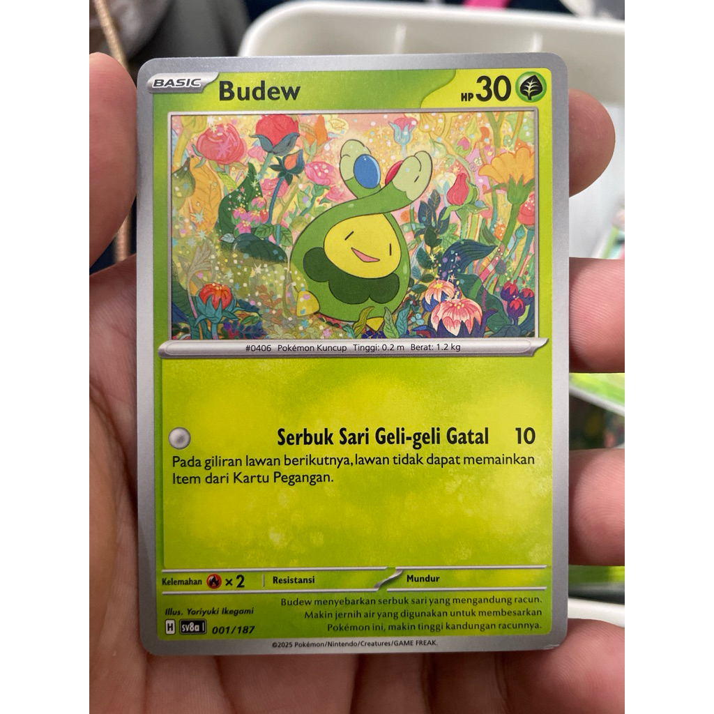 Budew - TCG Pokemon Indonesia