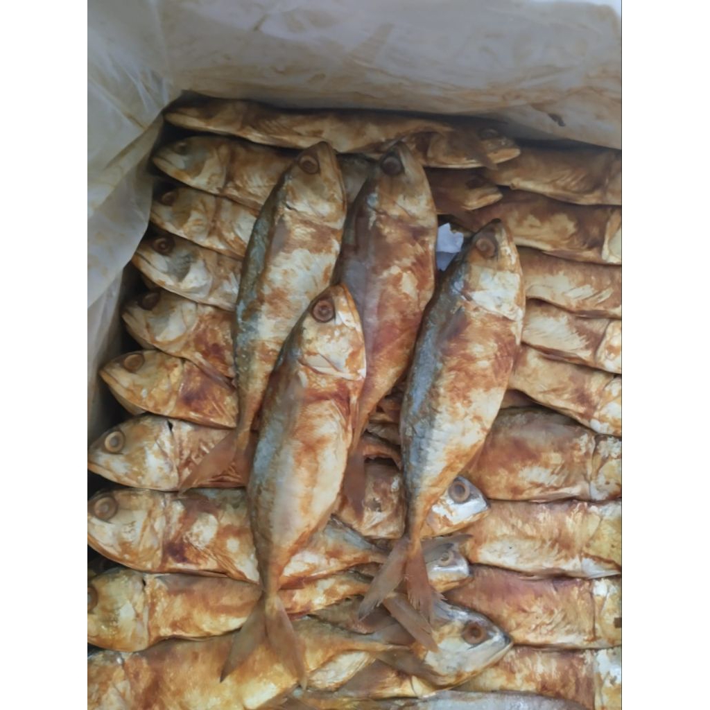 ikan asin peda merah jumbo fresh murah COD