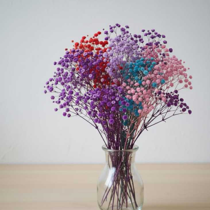 50 gr Preserved Baby Breath / Dried Baby Breath/ Dried Flower Baby Breath/ Bunga Kering Baby Breath