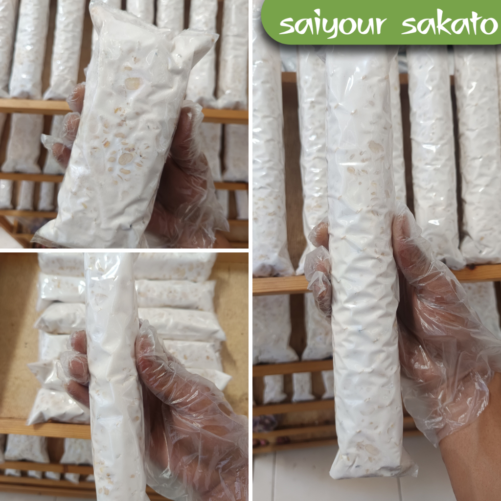 Tempe Besar Panjang Kemasan Plastik Saiyour Sakato