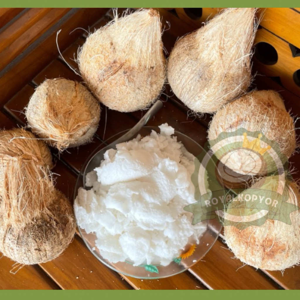 KELAPA KOPYOR KULTUR JARINGAN | Kopyor 100% asli kupas | Kopyor Premium | Kopyor Berbagai Ukuran