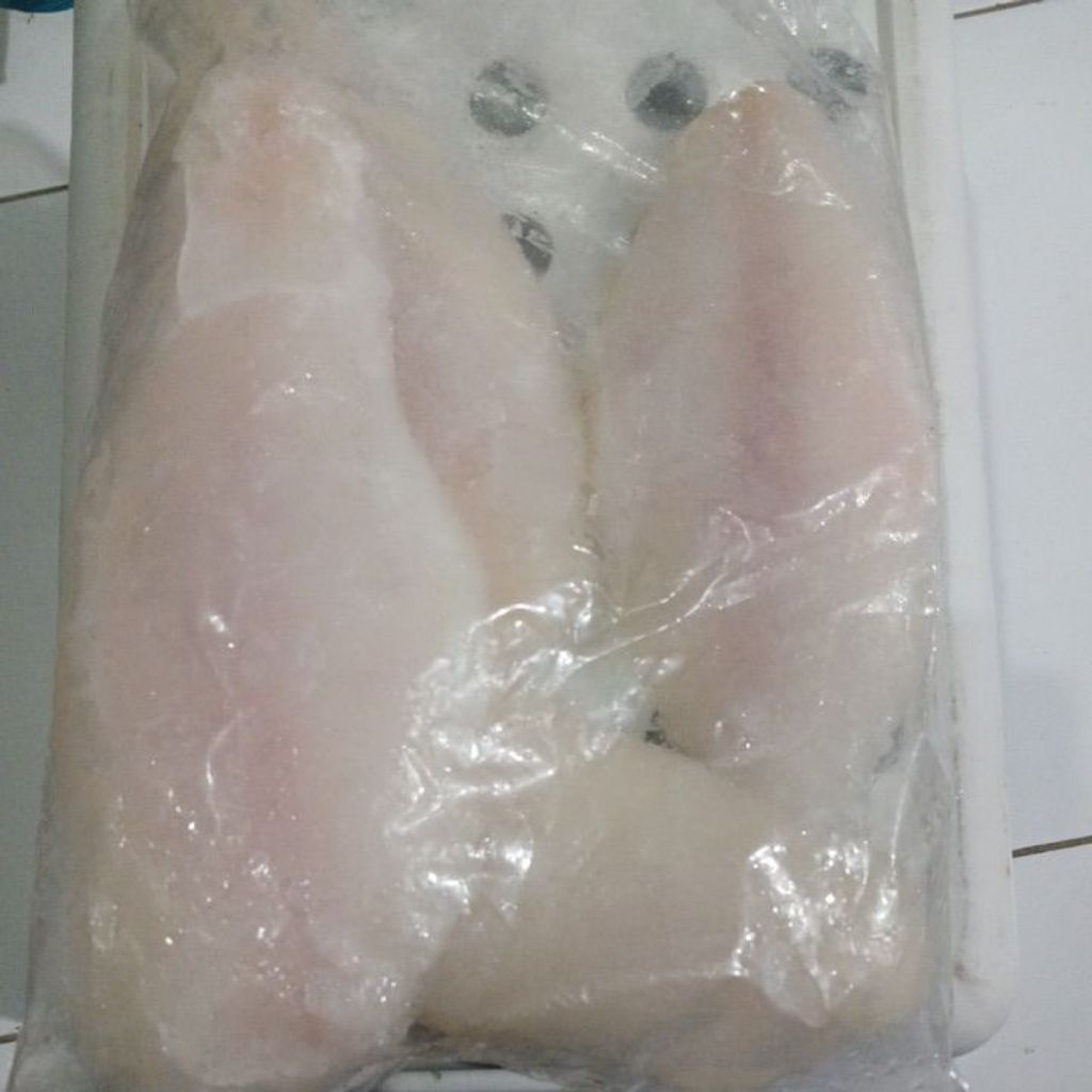 ikan dori fillet beku