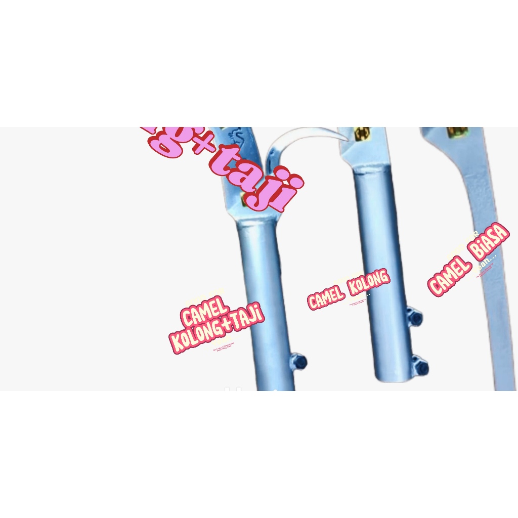 Egrek camel original lokal