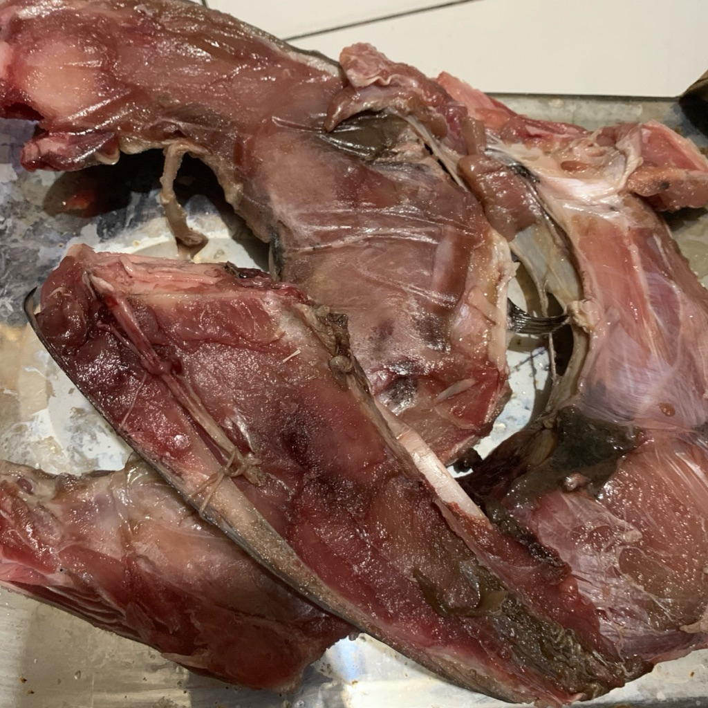 RAHANG TUNA NATURAL SEGAR 1KG FROZEN PREMIUM