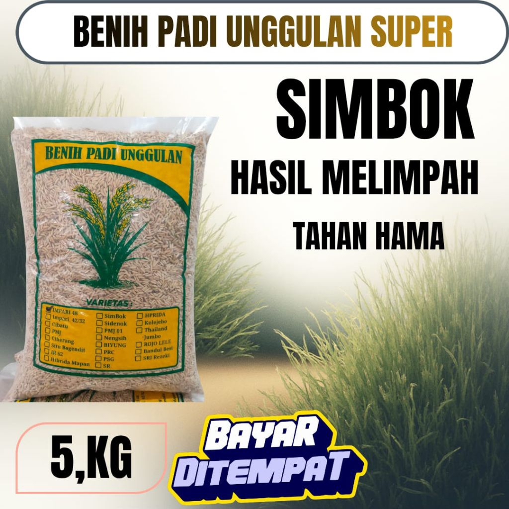 benih padi unggul berkualitas SIMBOK 5KG