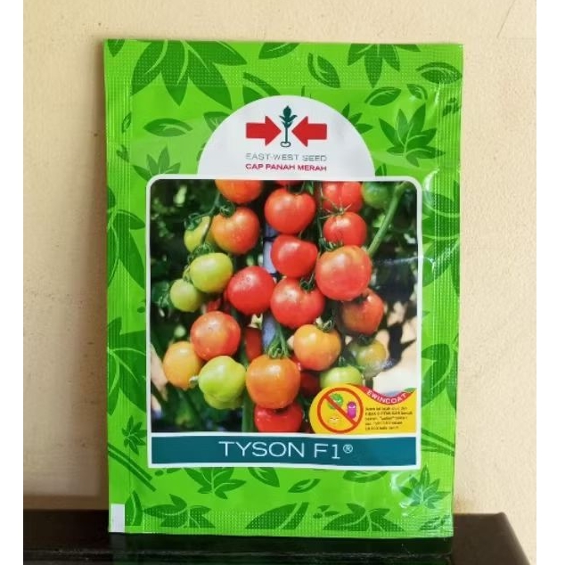 TOMAT TYSON F1 (BENIH)