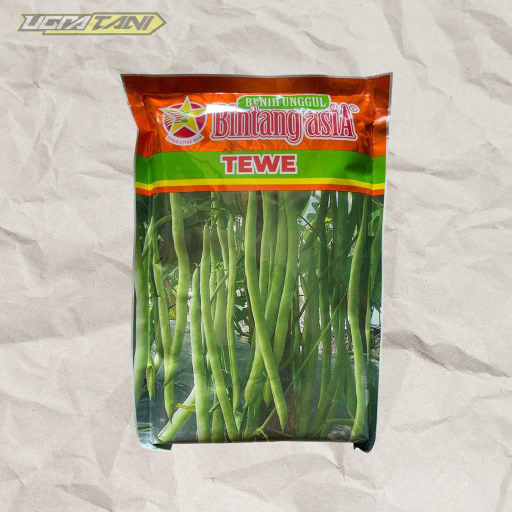 Benih Bibit Buncis Tewe 500 gram