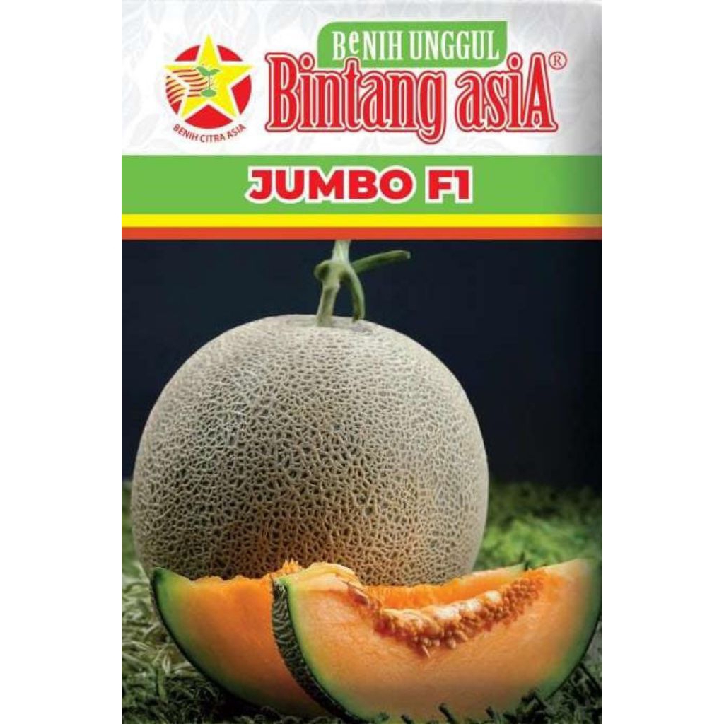 Bibit Buah Melon Bintang Asia Jumbo F1 Hibrida isi 10 Benih